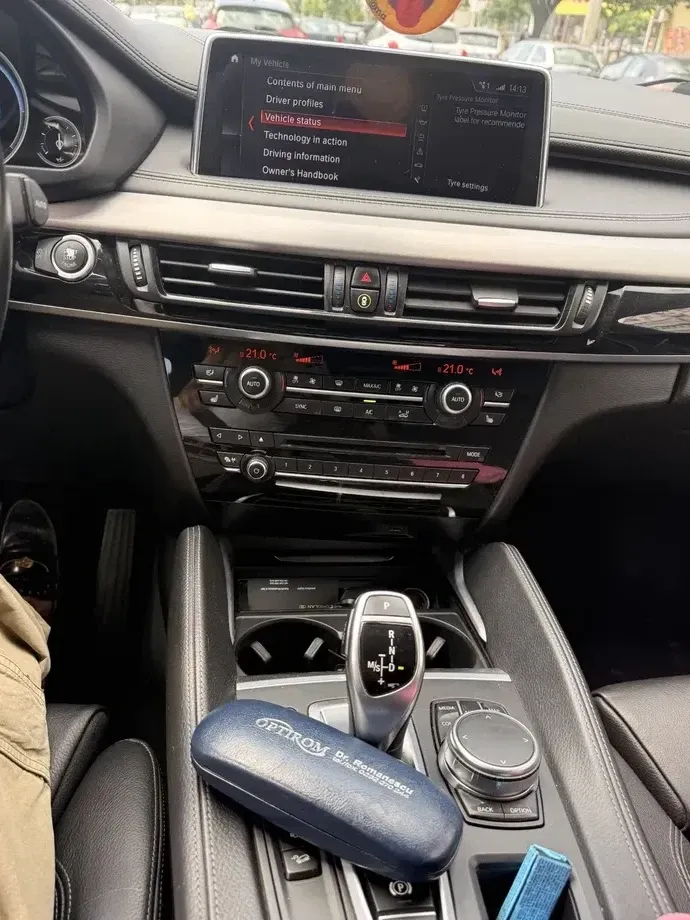 BMW X6 — imagine 4