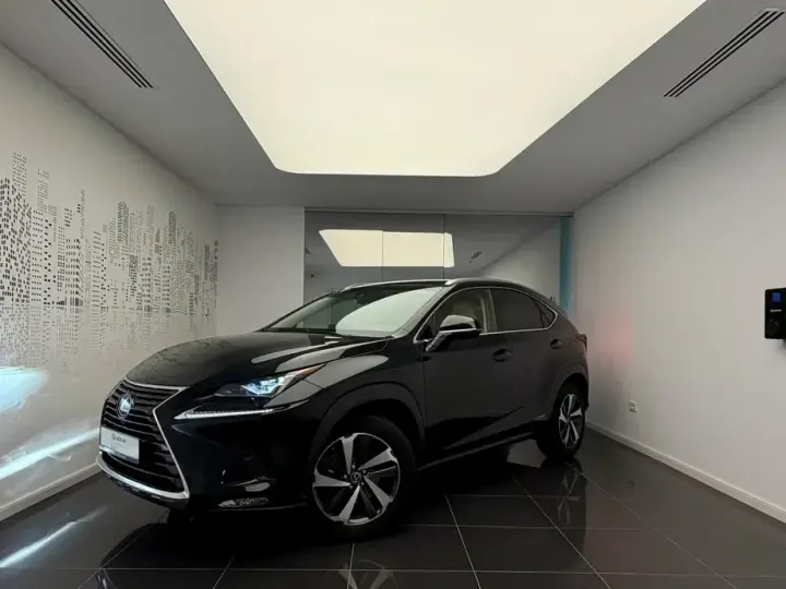Lexus NX I 300h AWD Luxury