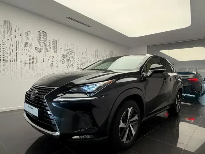 Lexus NX I 300h AWD Luxury