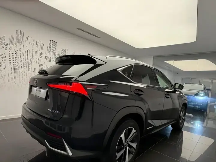 Lexus NX I 300h AWD Luxury