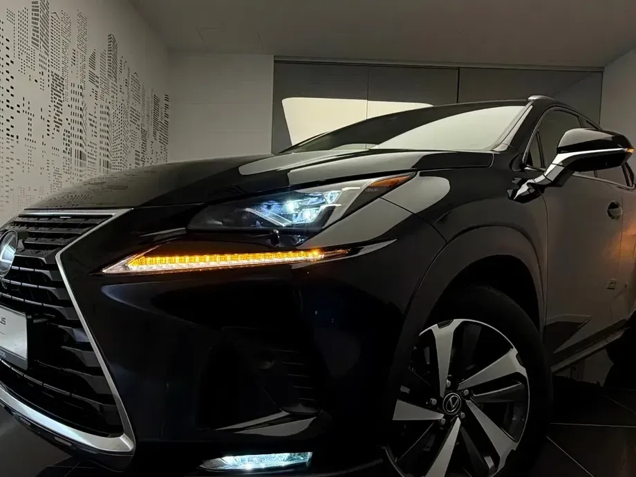 Lexus NX I 300h AWD Luxury — imagine 2
