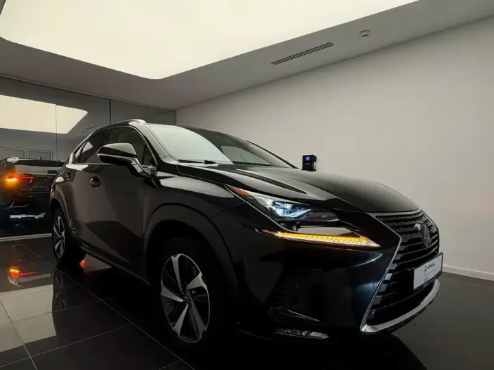 Lexus NX I 300h AWD Luxury