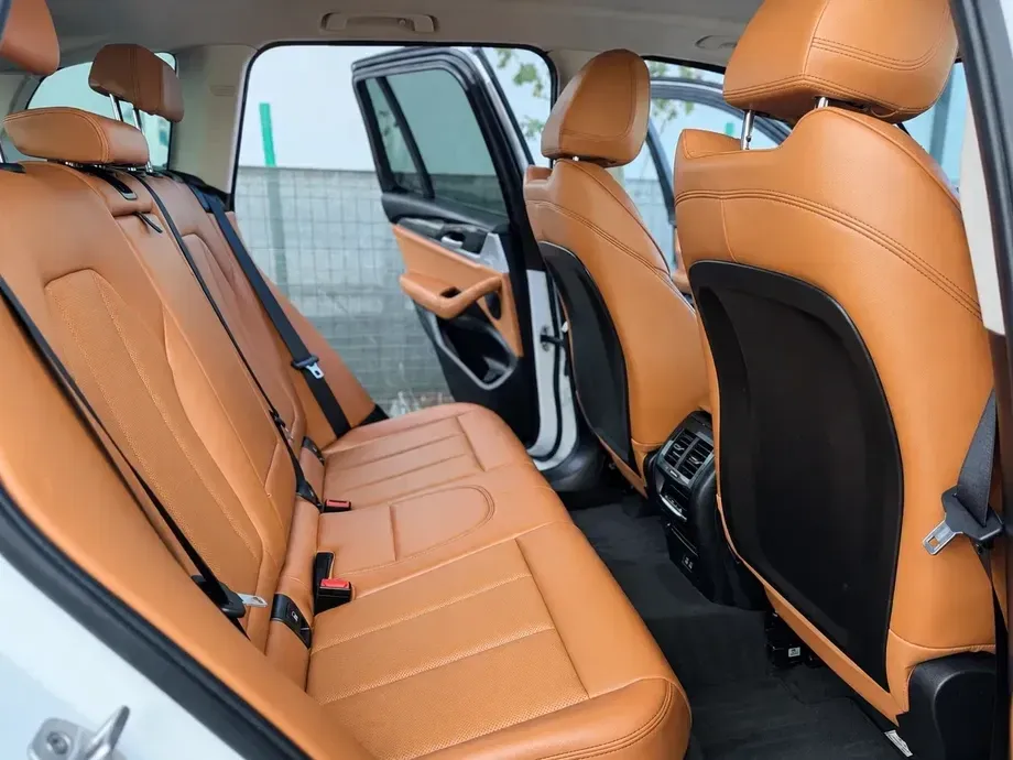 BMW X3 G01 xDrive30e Aut. Luxury Line — imagine 5