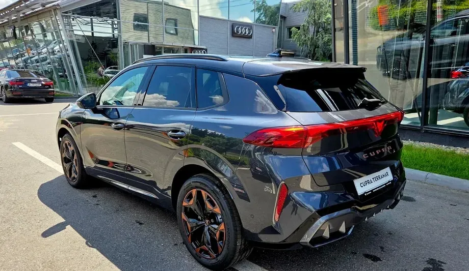 Cupra Terramar — imagine 3