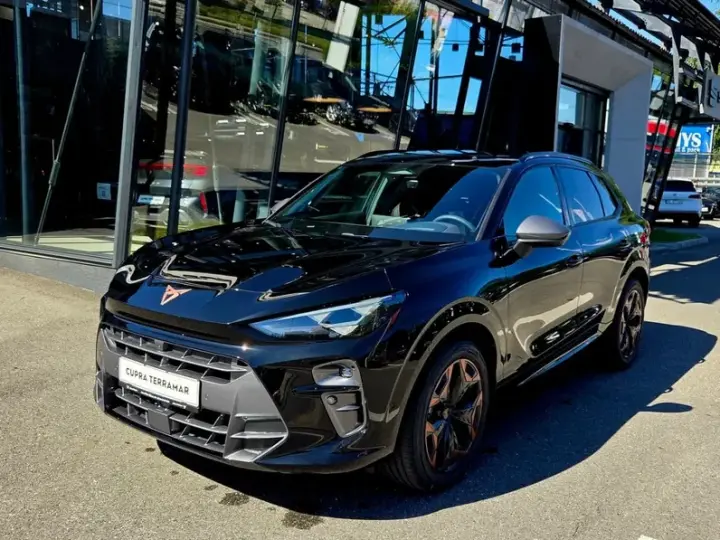 Cupra Terramar