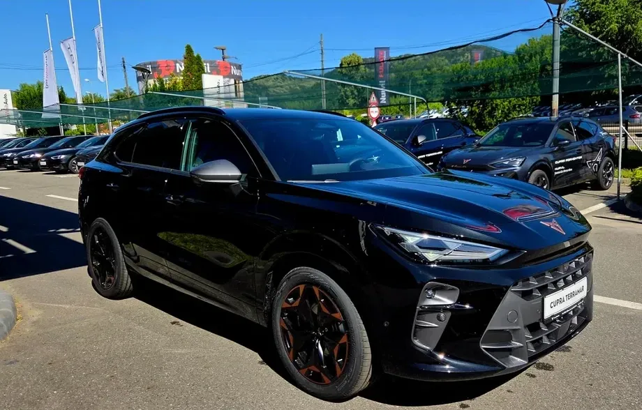 Cupra Terramar — imagine 6