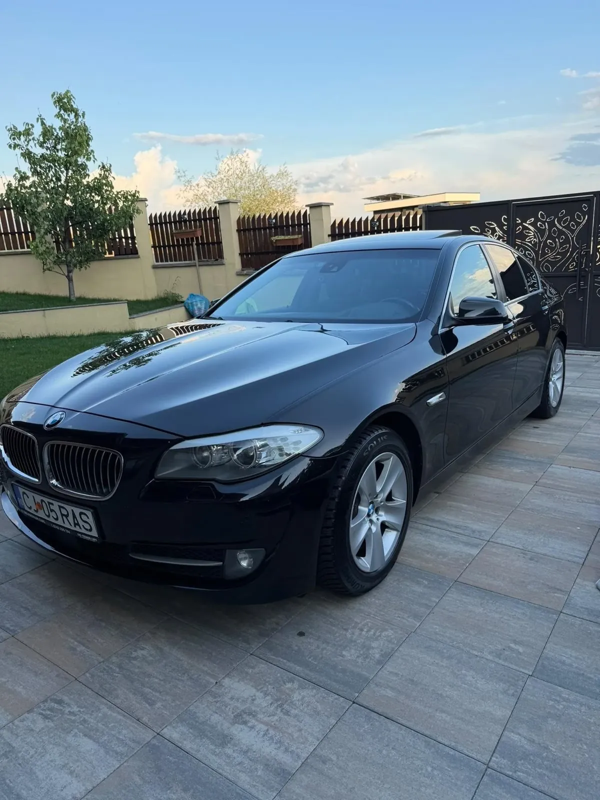 BMW Seria 5 F10 F10 — imagine 3