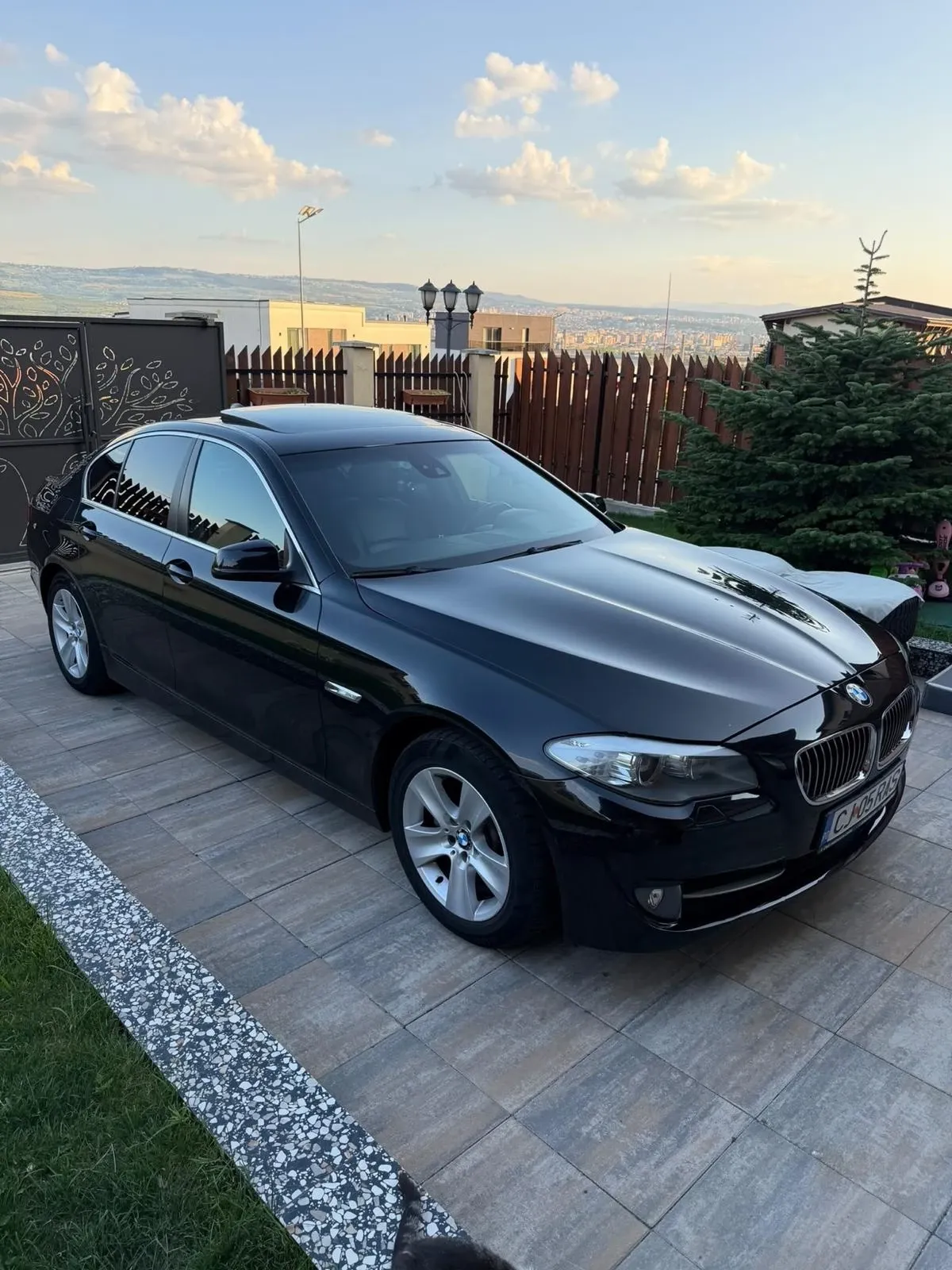BMW Seria 5 F10 F10 — imagine 4