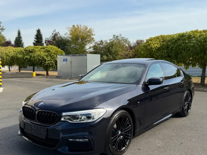 BMW Seria 5 G30