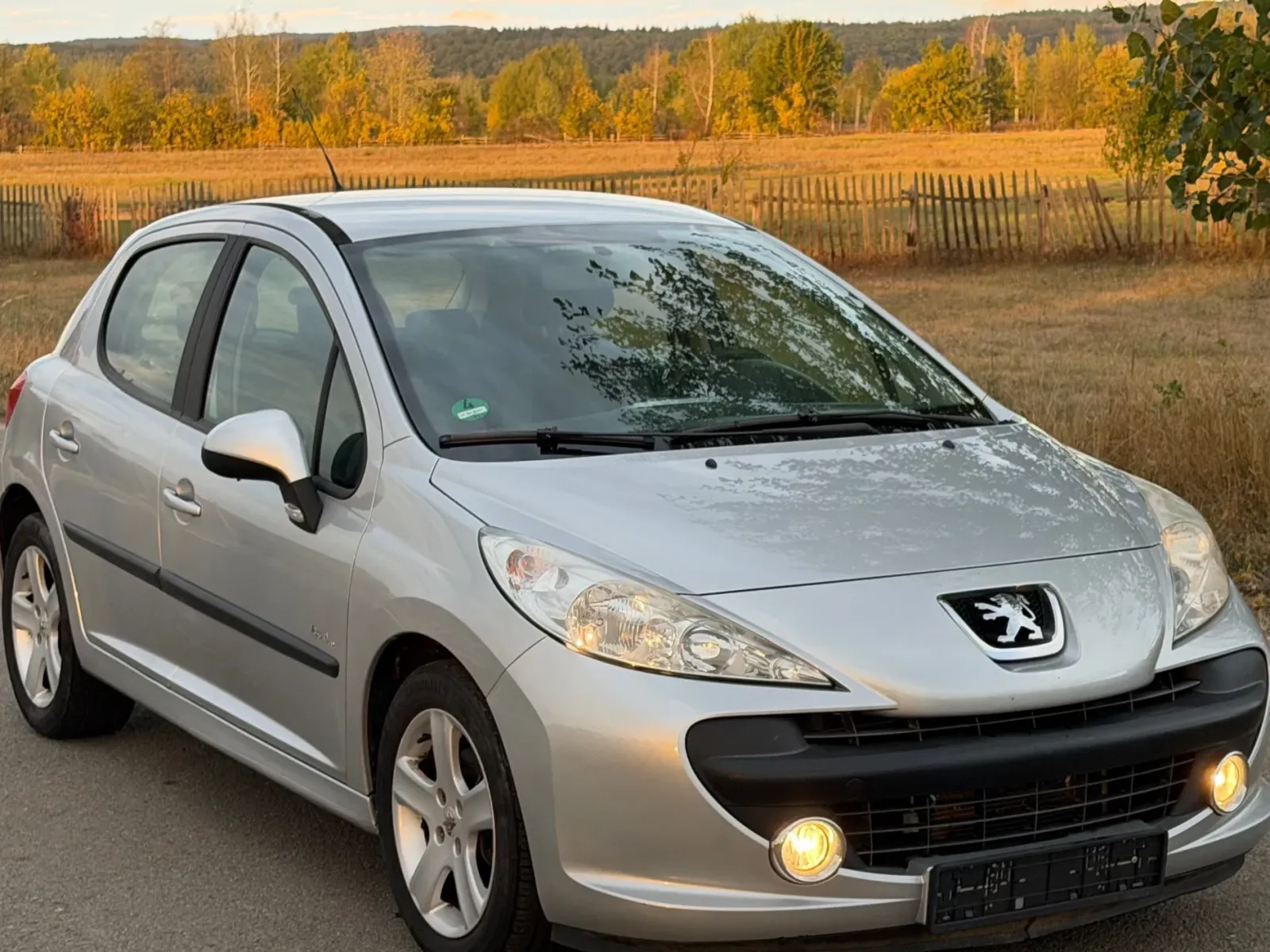 Peugeot 207 — imagine 10