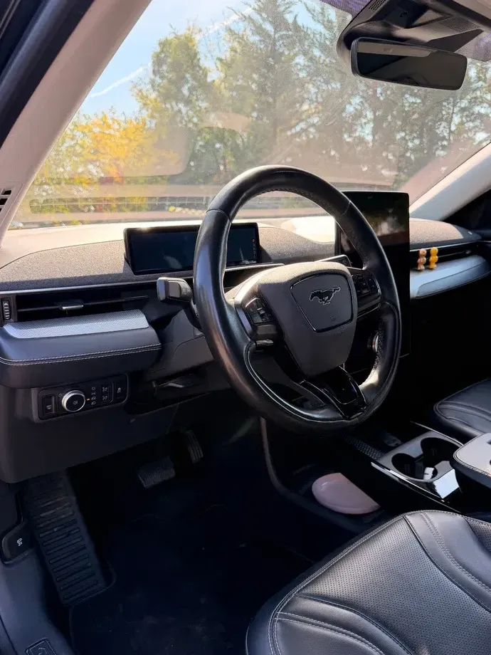 Ford Mustang Mach-E — imagine 10