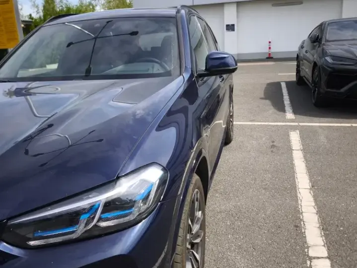 BMW X3 G01 xDrive30e Aut. M Sport