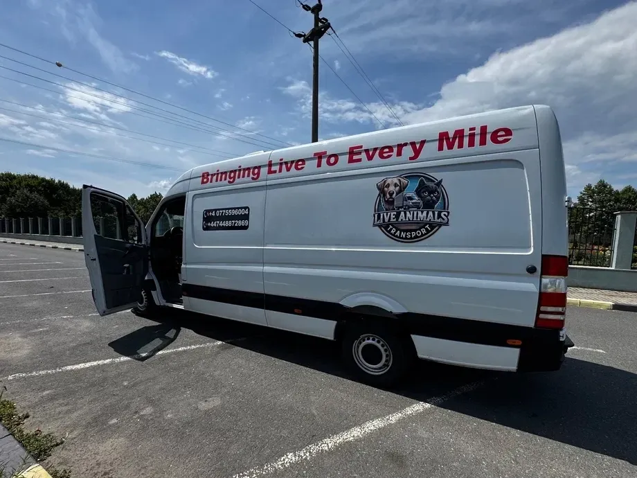 Mercedes-Benz Sprinter — imagine 9