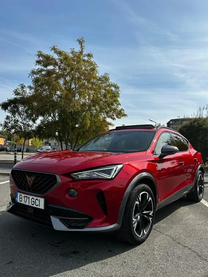 Cupra Formentor 2.0 TSI 4DRIVE DSG — imagine 2