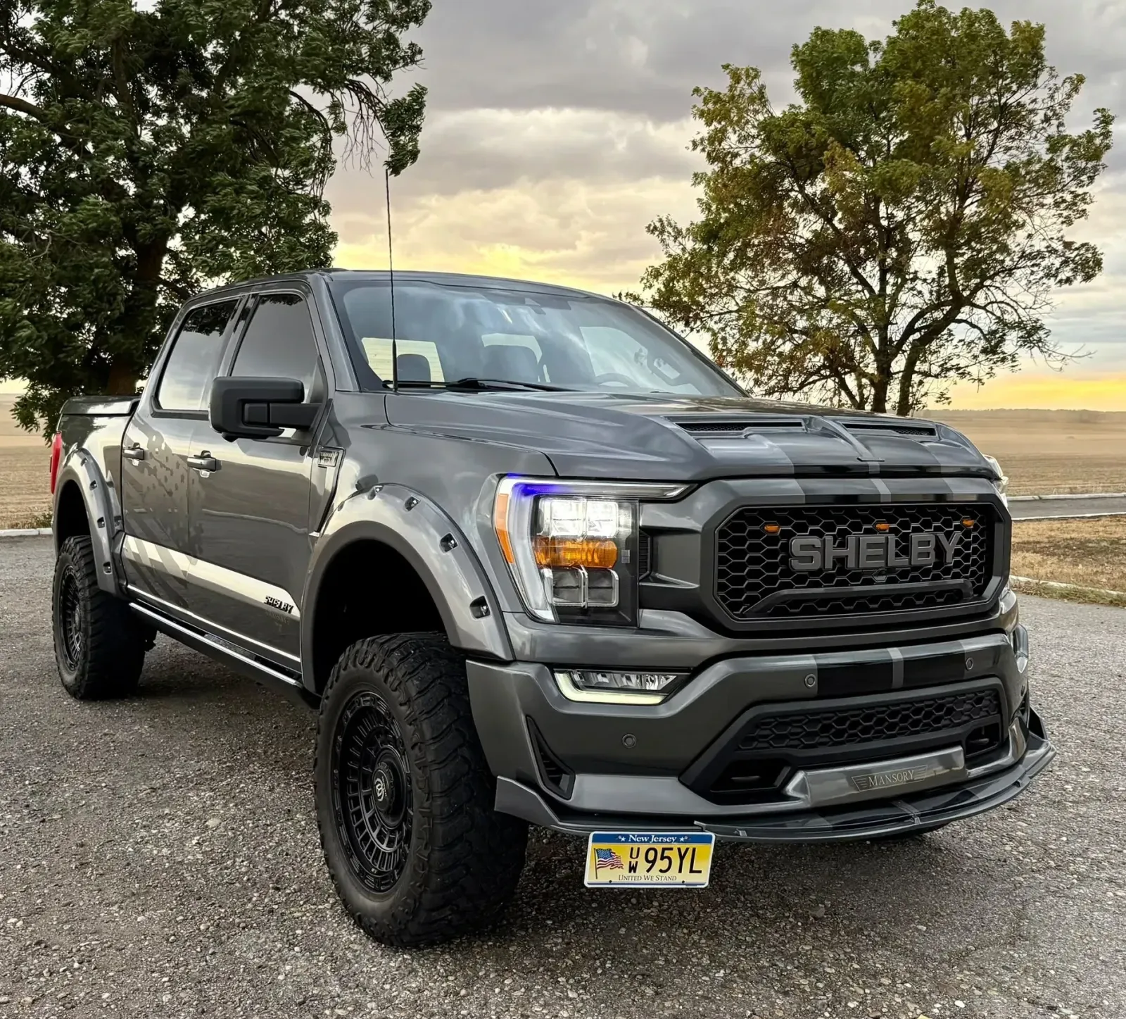 Ford F150 — imagine 10