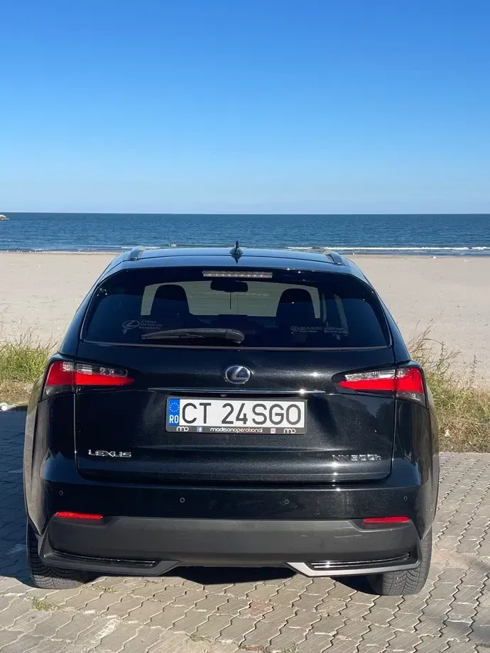 Lexus NX I 300h AWD Executive Plus — imagine 7