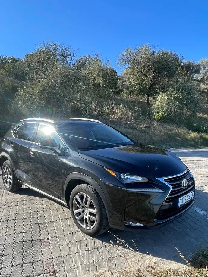Lexus NX I 300h AWD Executive Plus — imagine 4