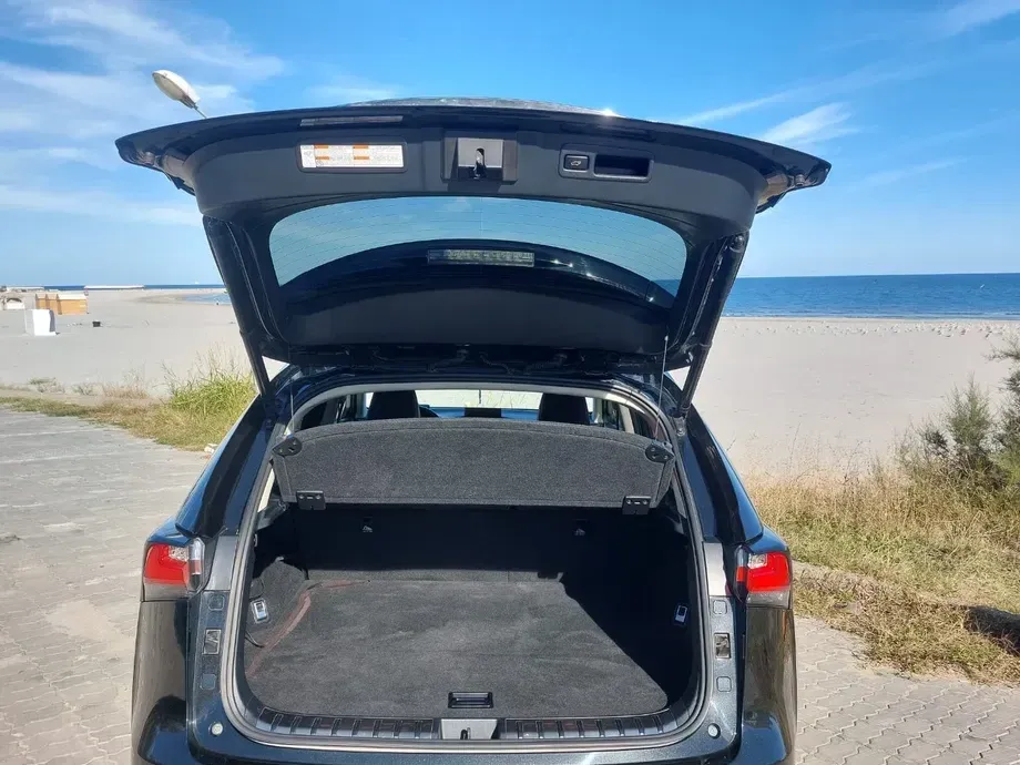 Lexus NX I 300h AWD Executive Plus — imagine 8