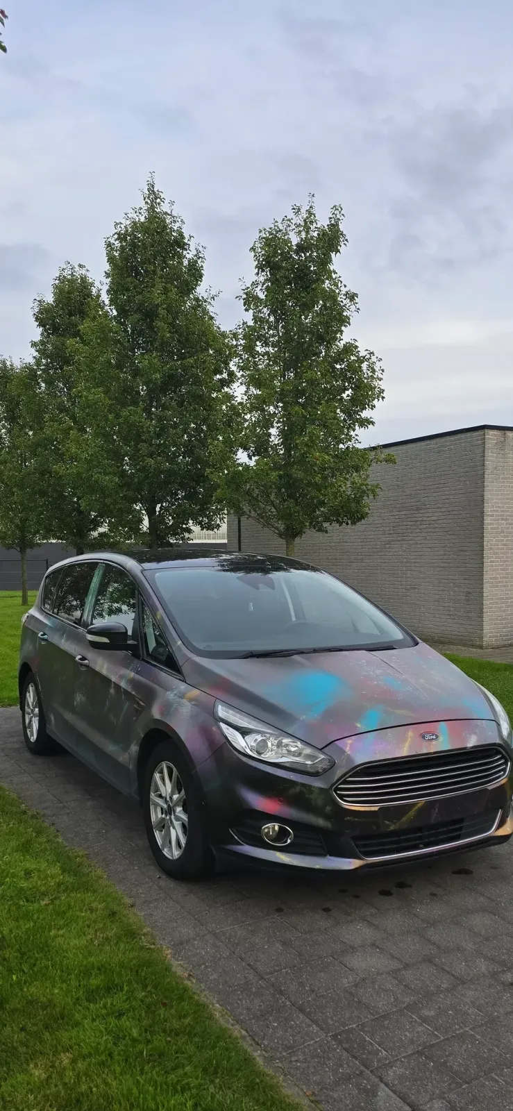 Ford S-Max II — imagine 3