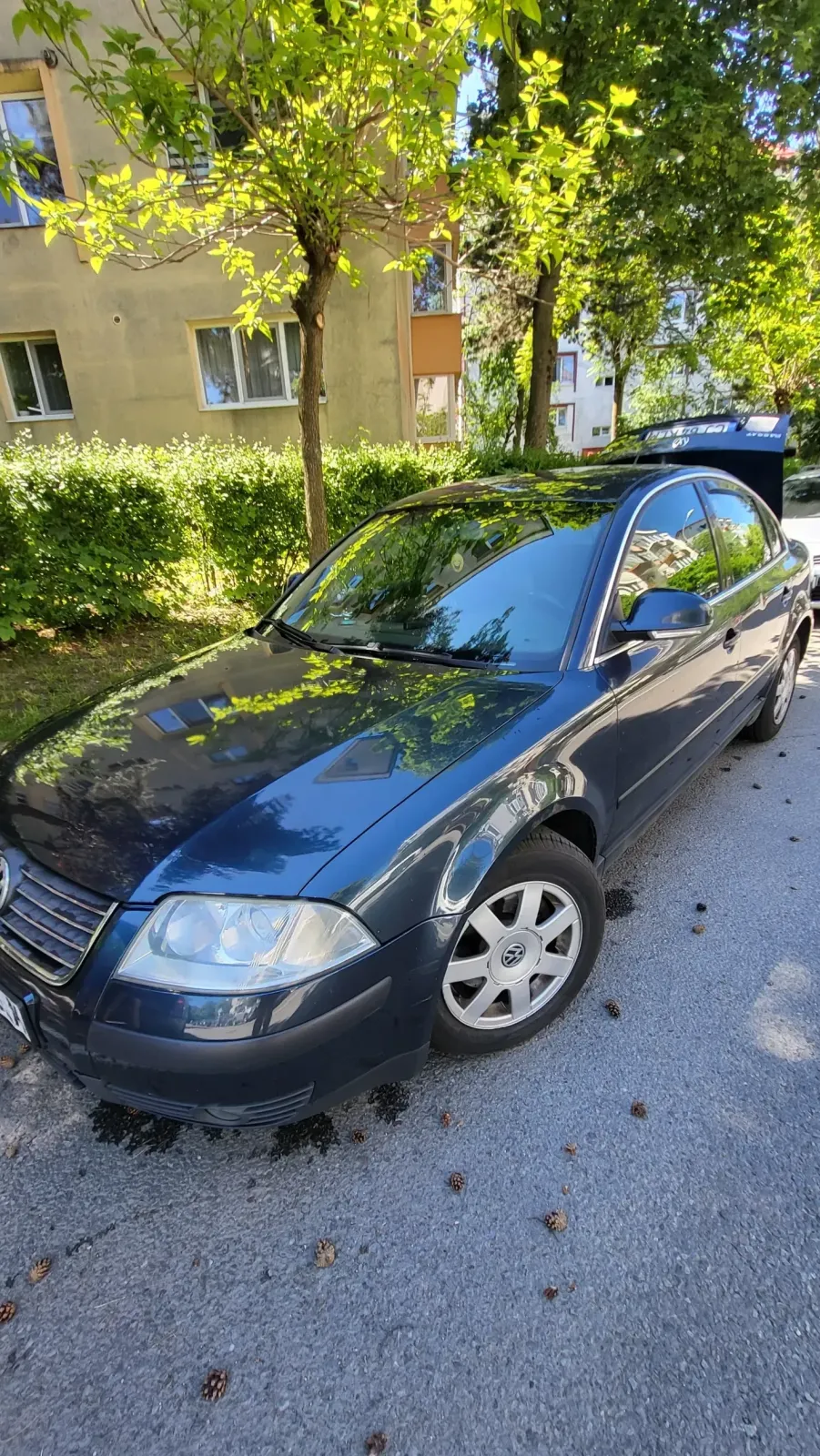 Volkswagen Passat B5.5 — imagine 2