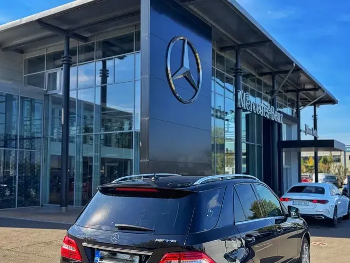 Mercedes-Benz ML W166 250 BlueTEC 4MATIC Aut