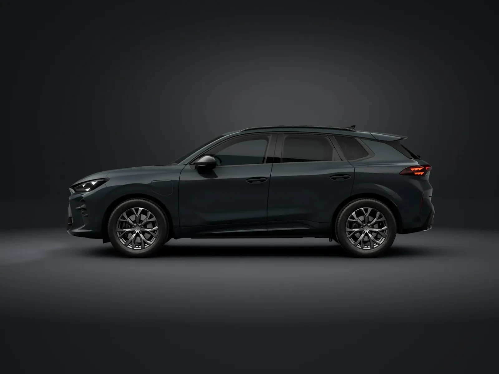 Cupra Terramar — imagine 9