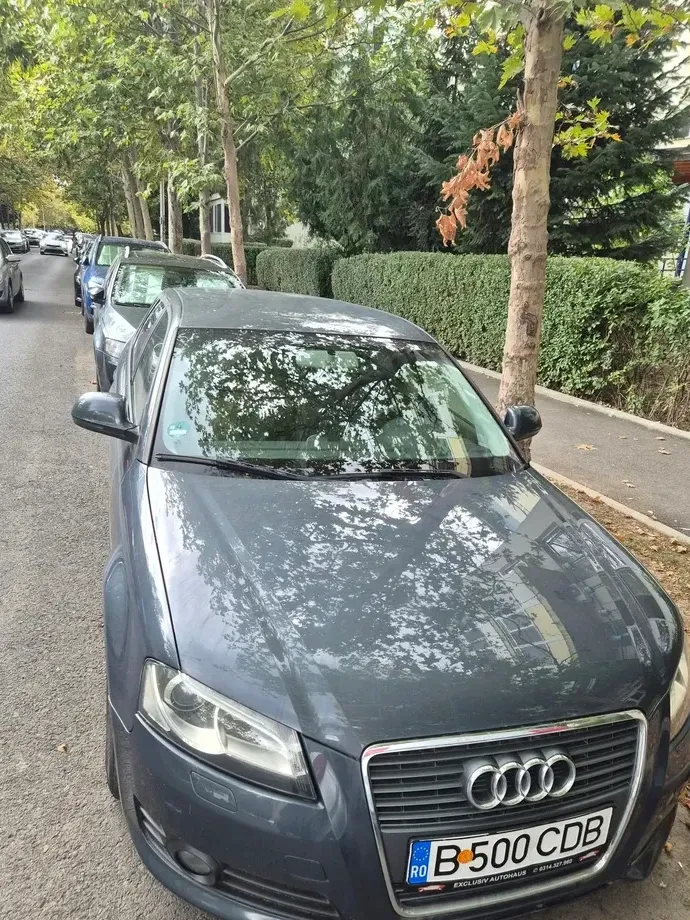 Audi A3 Sportback 8P — imagine 5