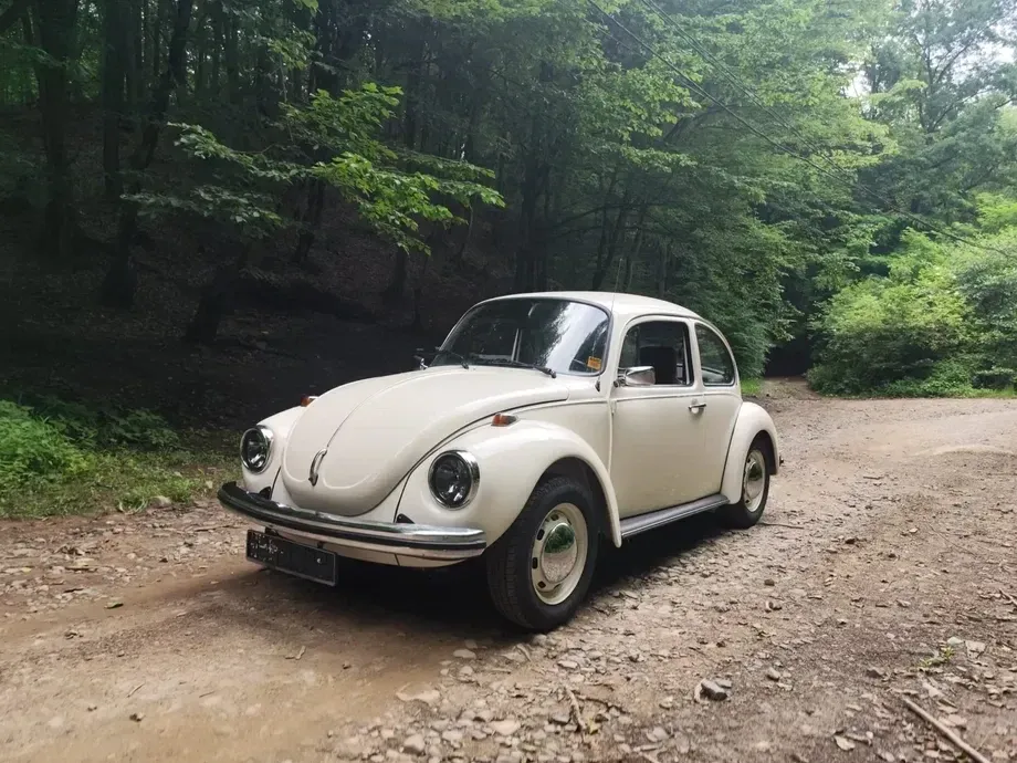 Volkswagen Beetle — imagine 9
