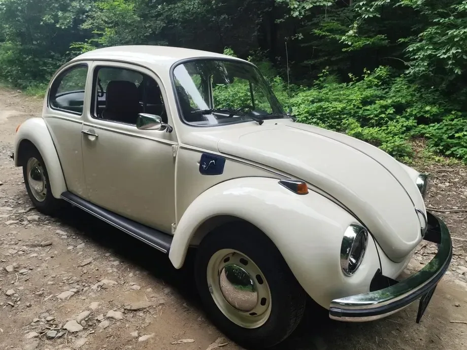 Volkswagen Beetle — imagine 3