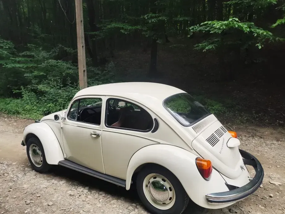 Volkswagen Beetle — imagine 2