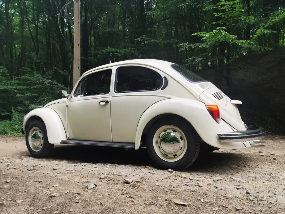 Volkswagen Beetle — imagine 7