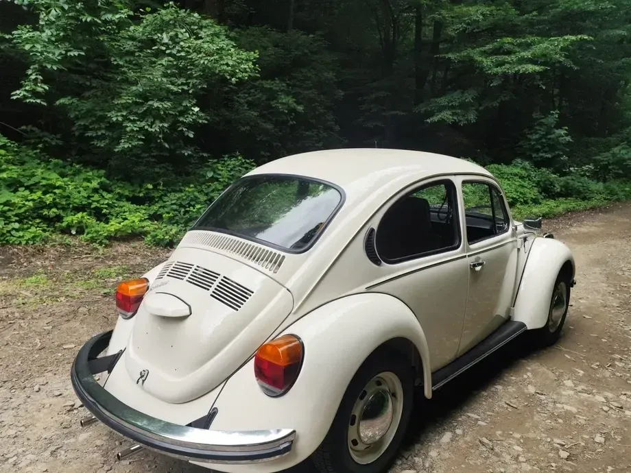 Volkswagen Beetle — imagine 5