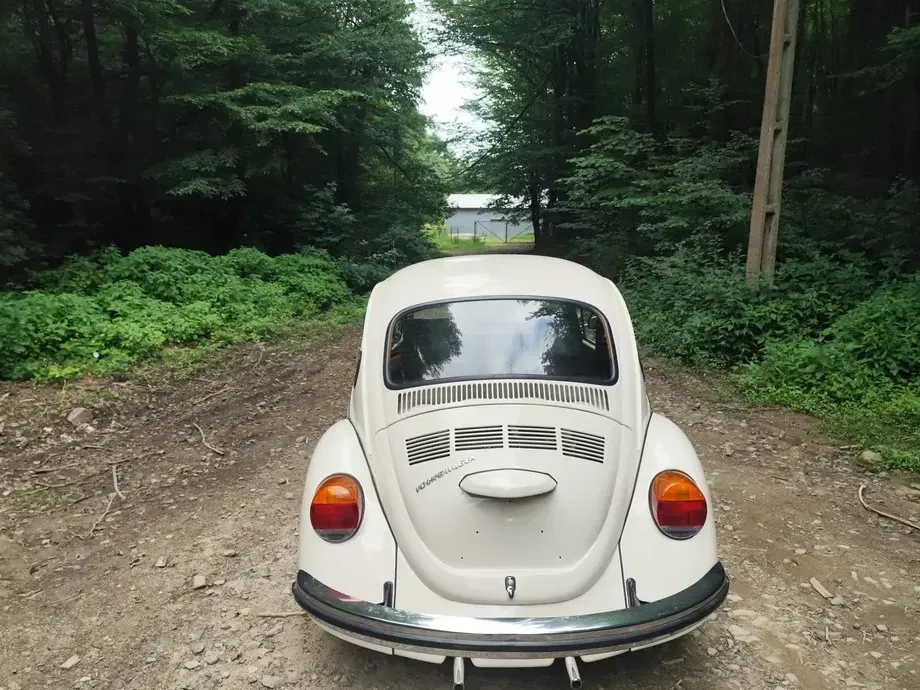 Volkswagen Beetle — imagine 8