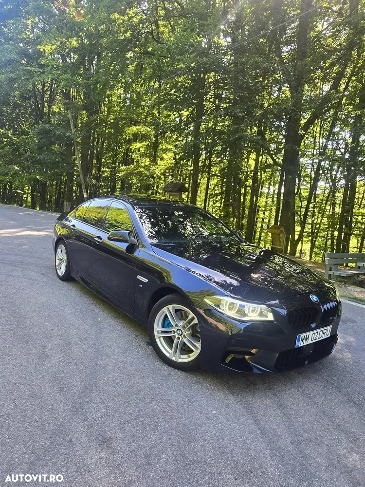 BMW Seria 5 F10/F11/F07 [2010 - 2017] 520d xDrive Aut. Sport Line — imagine 2