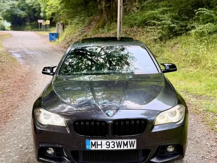 BMW Seria 5 F10/F11/F07 [2010 - 2017] 520d Aut.