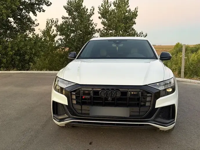 Audi Q8 3.0 50 TDI quattro Tiptronic MHEV