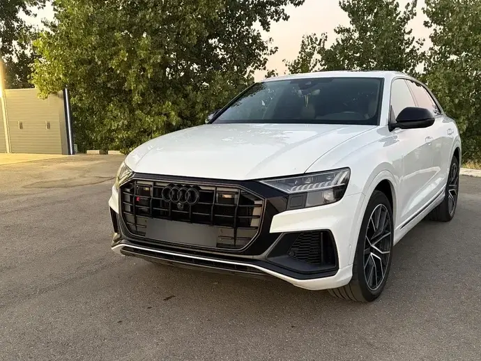 Audi Q8 3.0 50 TDI quattro Tiptronic MHEV