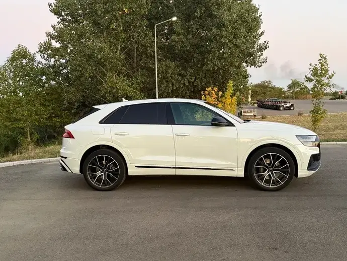 Audi Q8 3.0 50 TDI quattro Tiptronic MHEV