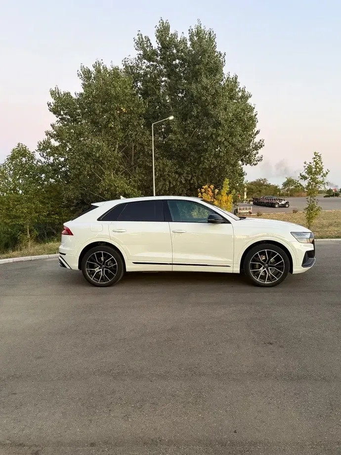 Audi Q8 3.0 50 TDI quattro Tiptronic MHEV — imagine 4