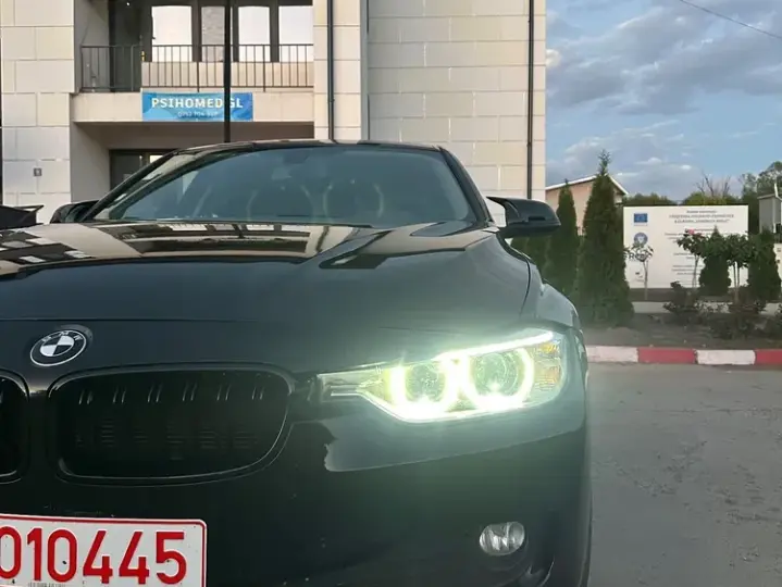 BMW Seria 3 F30/F31/F34 [2011 - 2019] 316d Edition M Sport Shadow