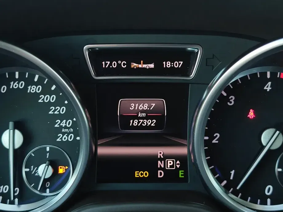 Mercedes-Benz ML W166 250 BlueTEC 4MATIC 7G-TRONIC — imagine 7