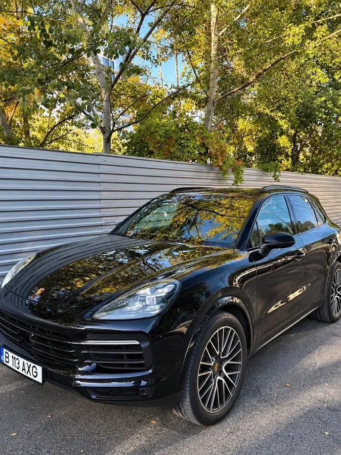 Porsche Cayenne Standard — imagine 9
