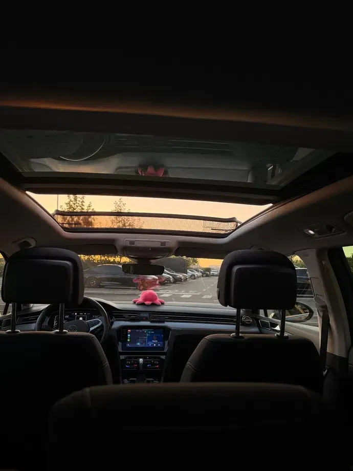 Volkswagen Passat B8 — imagine 4