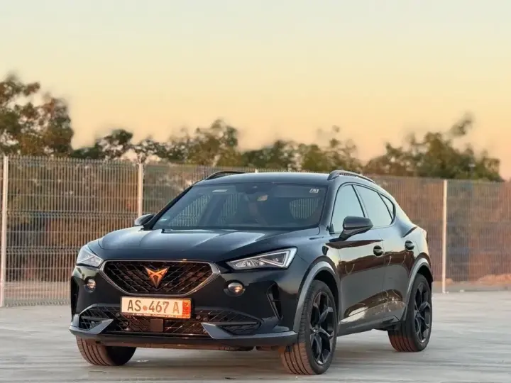 Cupra Formentor VZ 2.0 TSI 4DRIVE DSG