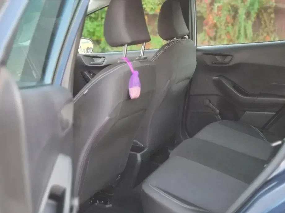 Ford Fiesta VIII 1.0 EcoBoost Trend Connected — imagine 9