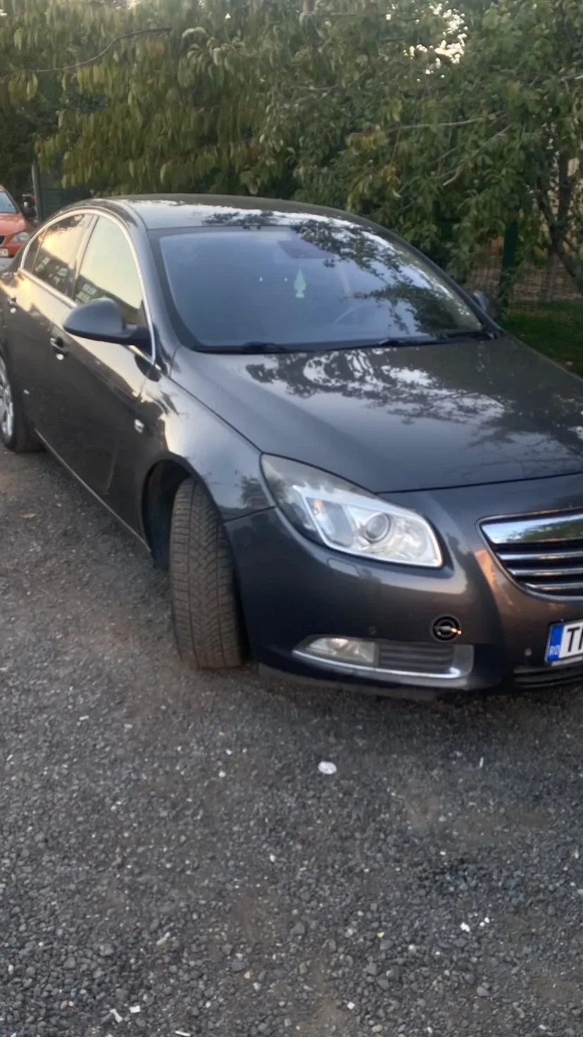 Opel Insignia — imagine 2