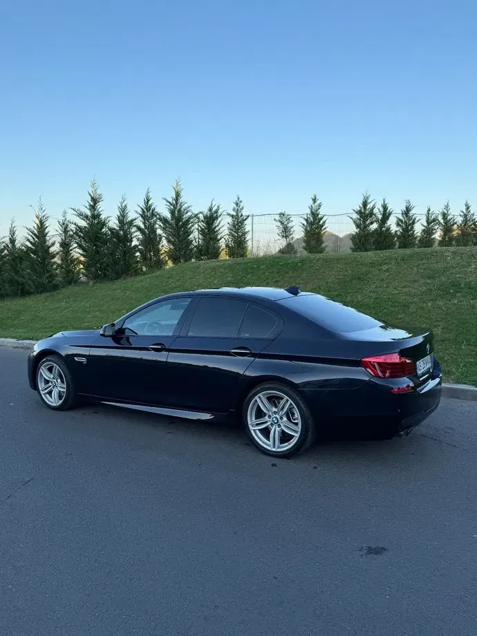 BMW Seria 5 F10/F11/F07 520d xDrive AT — imagine 8