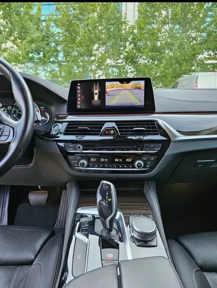 BMW Seria 5 520d AT — imagine 10