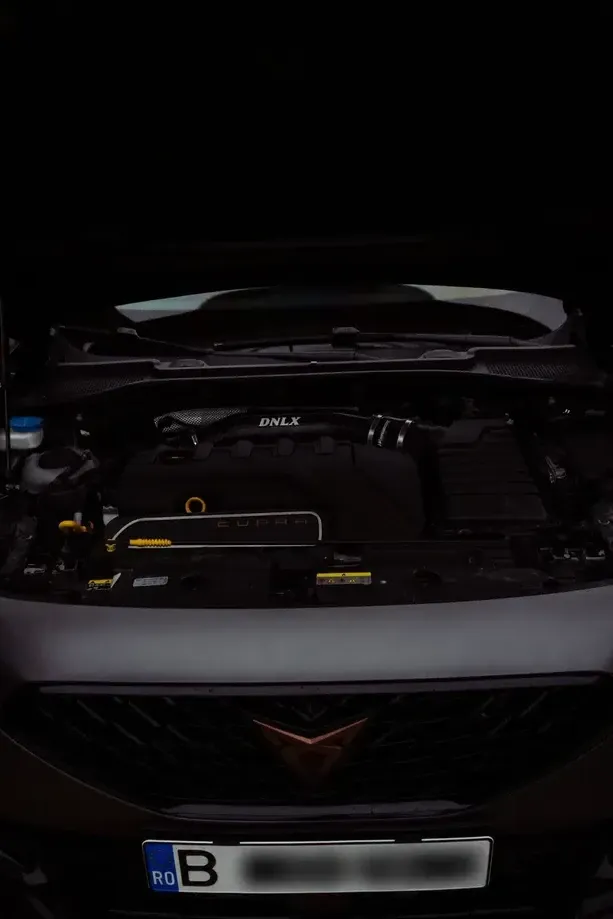 Cupra Formentor VZ5 2.5 TSI 4DRIVE DSG — imagine 7