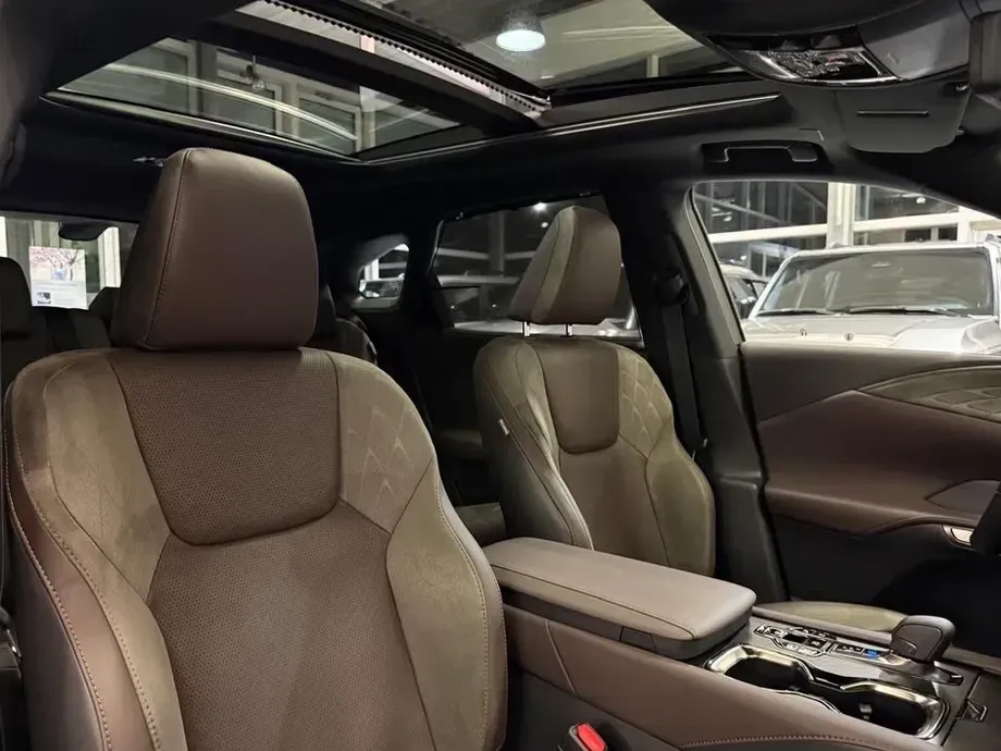 Lexus RX 450h+ E-Four PHEV Luxury — imagine 6